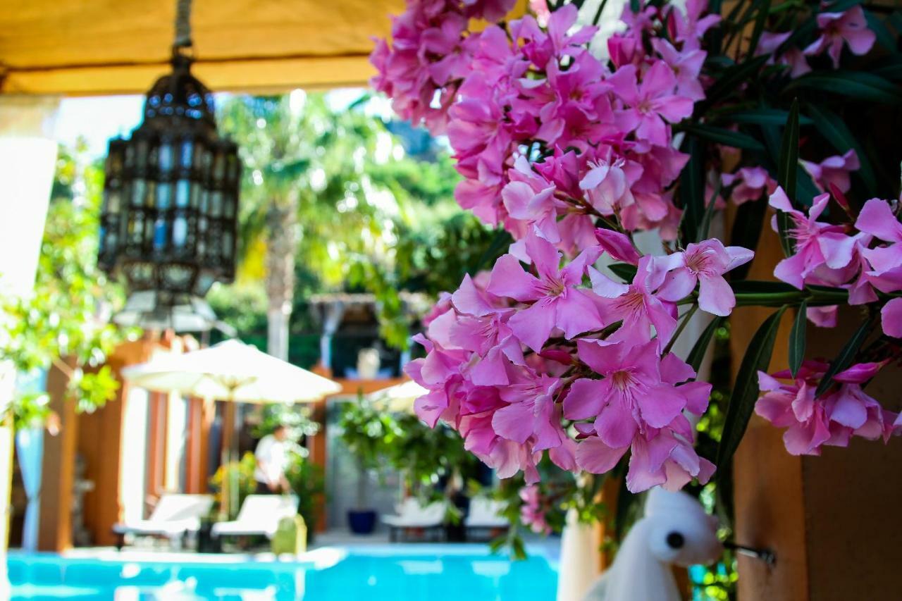 Ddg Retreat Hotel Casares Buitenkant foto